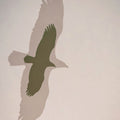 Double Eagle Mural Wallpaper - pure wallpaper artwork
