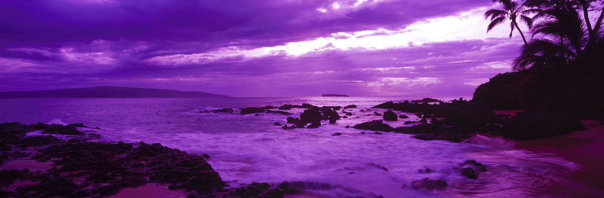 Purple Paradise Cove Mural Wallpaper - pure wallpaper artwork