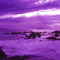 Purple Paradise Cove Mural Wallpaper - pure wallpaper artwork