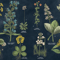 Botanical Floral Chart I Dark Blue Mural Wallpaper - pure wallpaper artwork