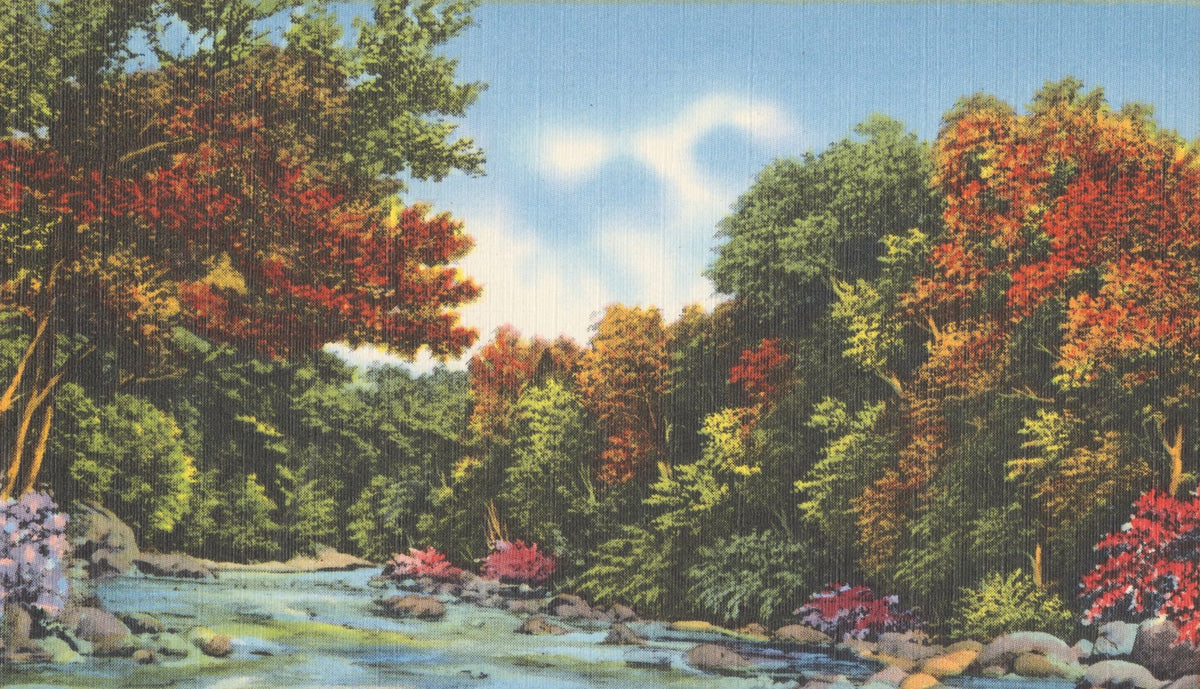 Color River Mural Wallpaper - pure wallpaper artwork