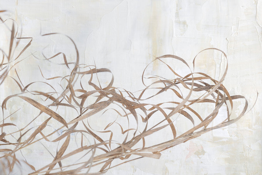 Trace of a Meadow Mural Wallpaper