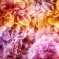 Peony Dreams Mural Wallpaper - pure wallpaper artwork