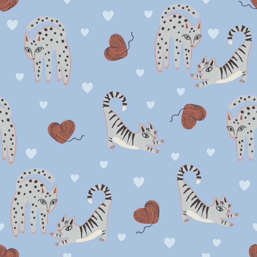 Kitten Love, Baby Blue Mural Wallpaper