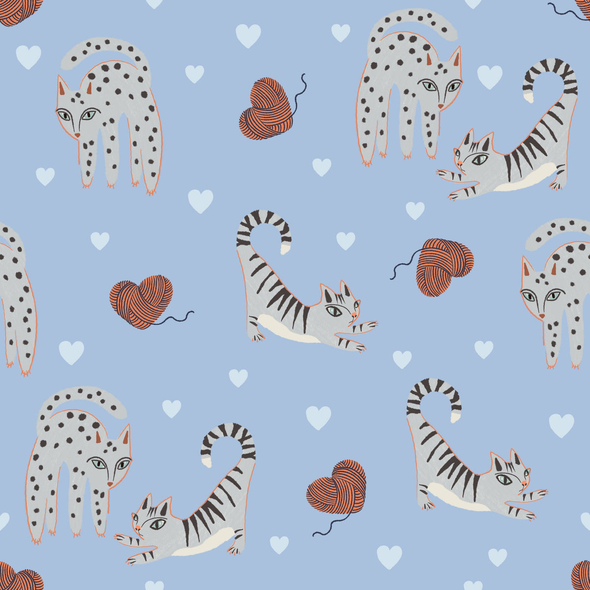 Kitten Love, Baby Blue Mural Wallpaper - pure wallpaper artwork