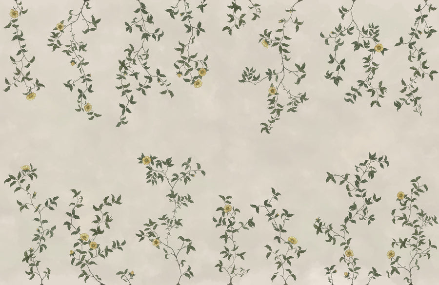 Rambling Rose, Mustard on Cream Mural Wallpaper