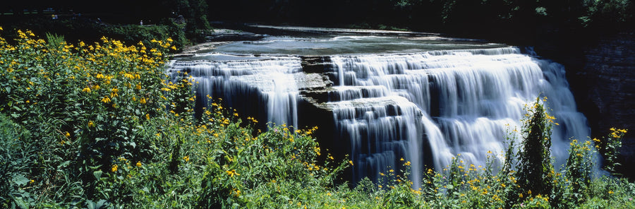 Waterfall Bloom Mural Wallpaper