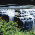 Waterfall Bloom Mural Wallpaper - pure wallpaper artwork