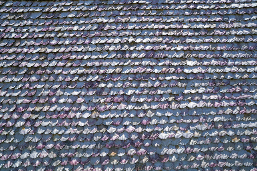 Azure Shell Cascade Mural Wallpaper