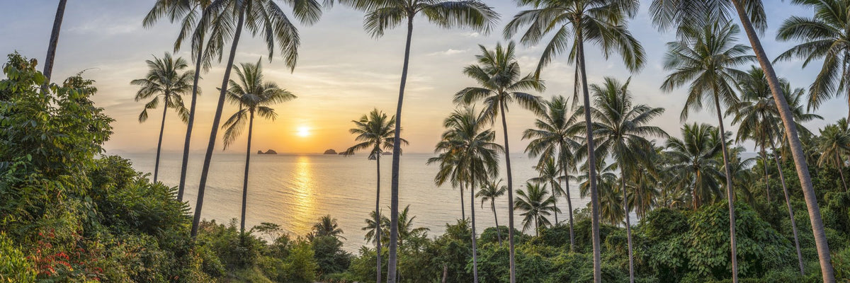 Tropical Sunset Vista Mural Wallpaper - pure wallpaper artwork