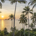 Tropical Sunset Vista Mural Wallpaper - pure wallpaper artwork