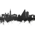Montpellier Skyline Black & White Mural Wallpaper - pure wallpaper artwork