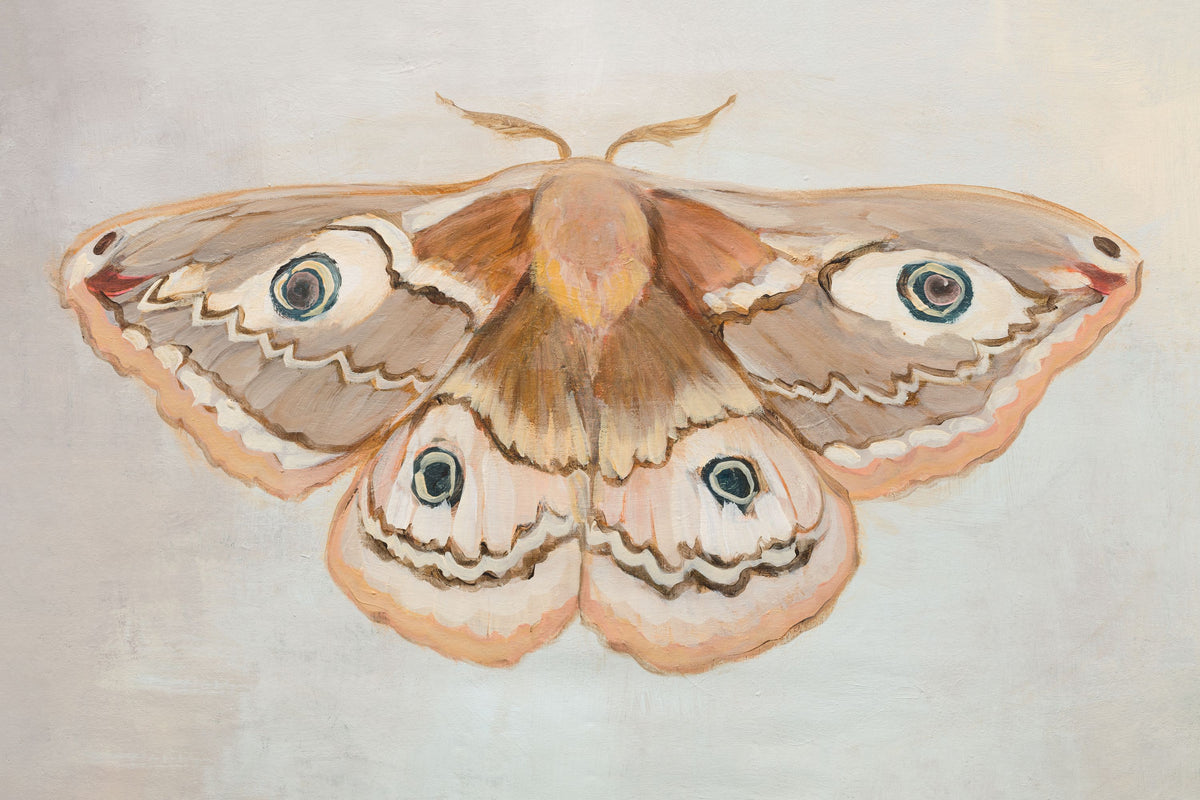 Forest Moth II Mural Wallpaper - pure wallpaper artwork