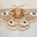 Forest Moth II Mural Wallpaper - pure wallpaper artwork