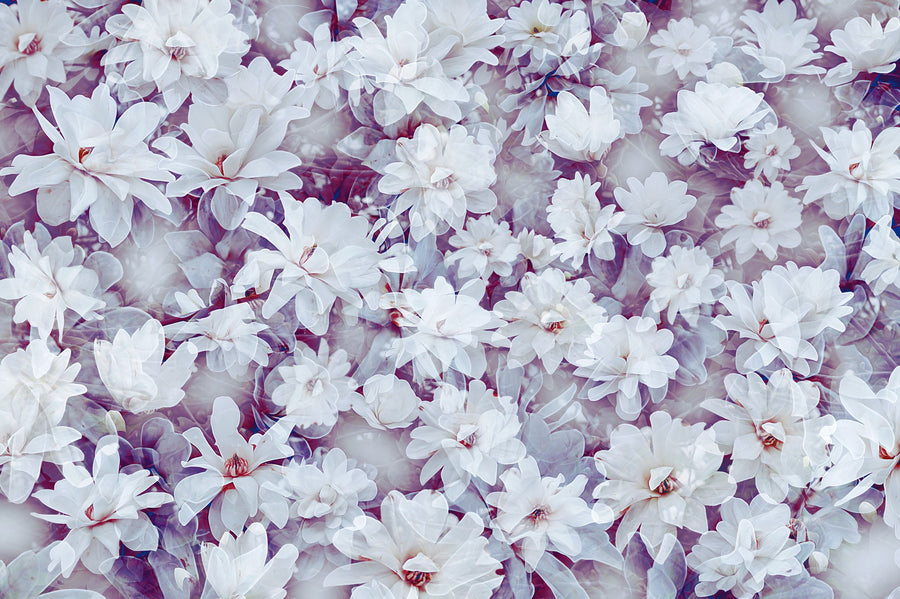 Magnolia Tapestry Mural Wallpaper