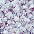 Magnolia Tapestry Mural Wallpaper - pure wallpaper artwork