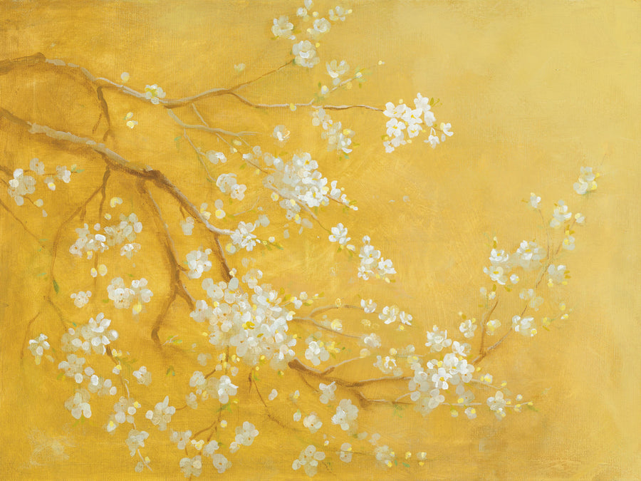 White Cherry Blossoms I Mural Wallpaper