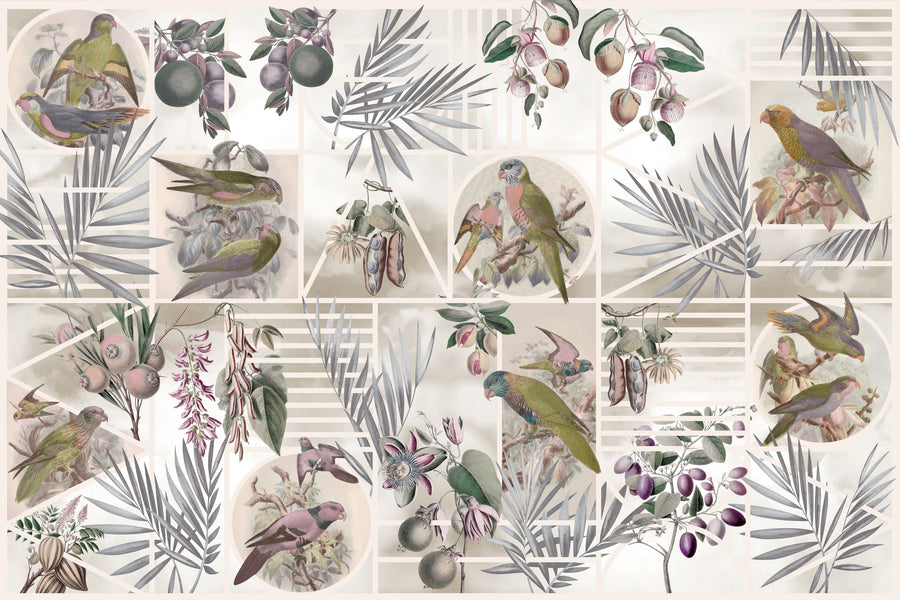Parrots Study Mural Wallpaper