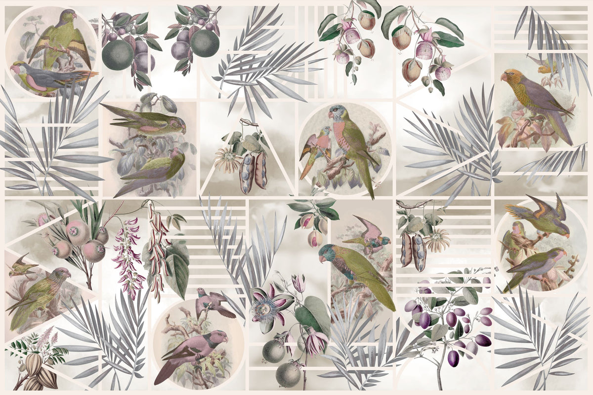 Parrots Study Mural Wallpaper - pure wallpaper artwork