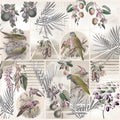 Parrots Study Mural Wallpaper - pure wallpaper artwork