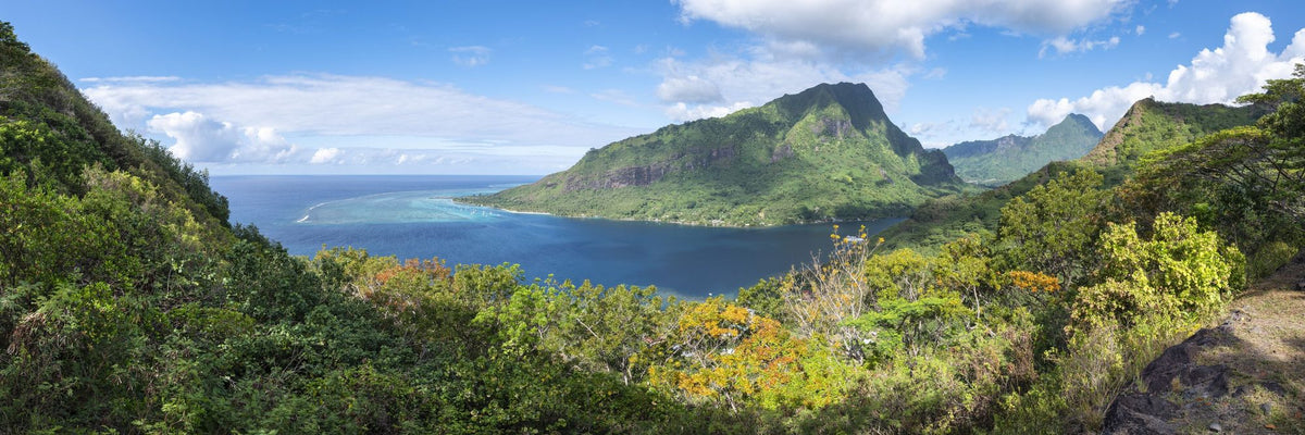 Opunohu Bay Mural Wallpaper - pure wallpaper artwork
