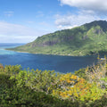 Opunohu Bay Mural Wallpaper - pure wallpaper artwork
