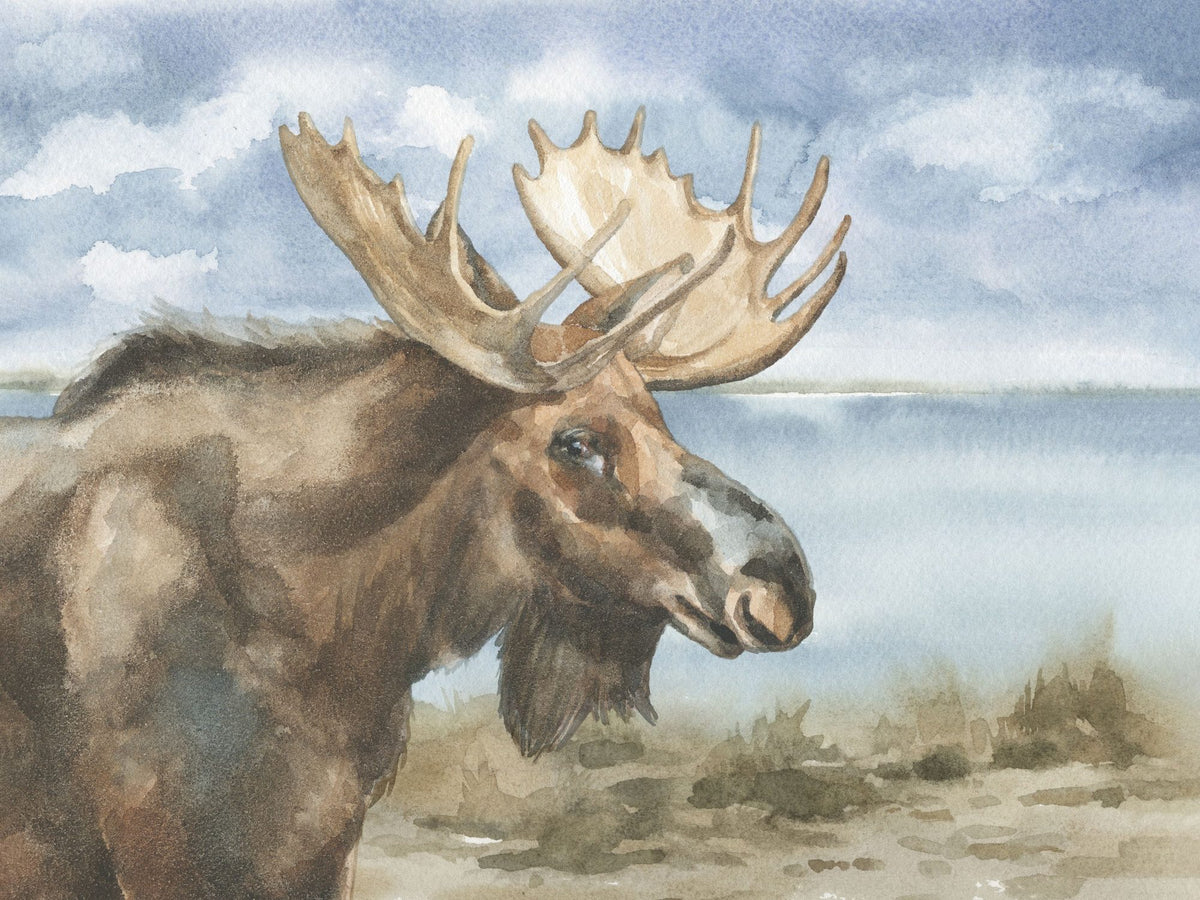 Moose by Lake Mural Wallpaper - pure wallpaper artwork