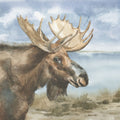 Moose by Lake Mural Wallpaper - pure wallpaper artwork