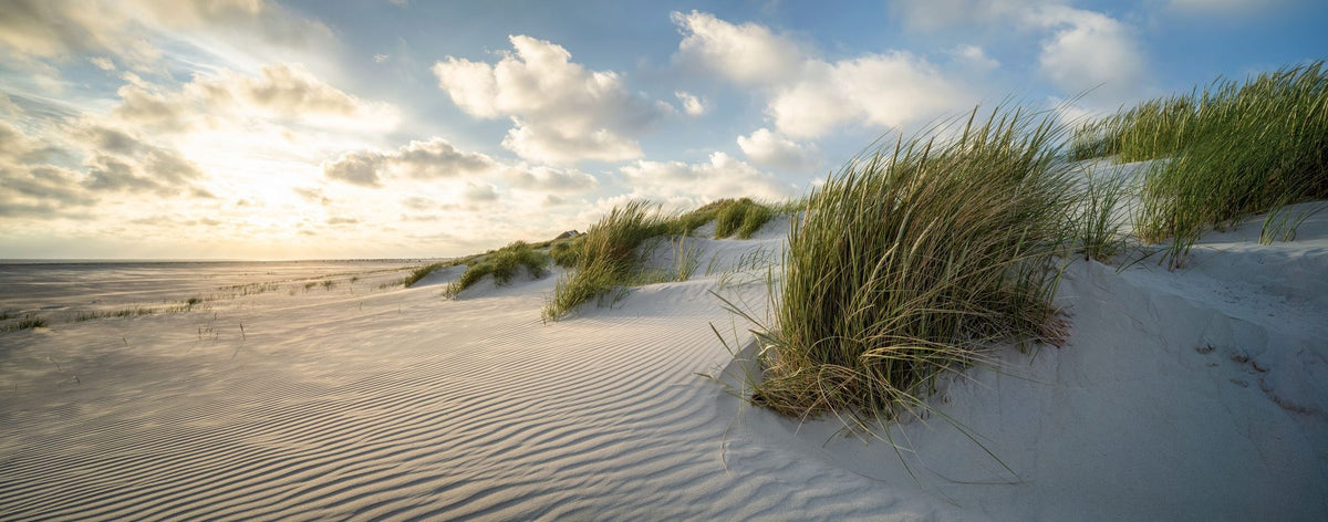 Grass Beach Mural Wallpaper - pure wallpaper artwork