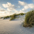 Grass Beach Mural Wallpaper - pure wallpaper artwork