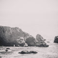 Passing Cove Mural Wallpaper - pure wallpaper artwork