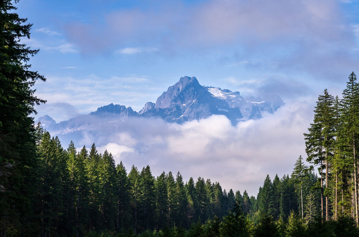 Whitehorse Mountain Mural Wallpaper - pure wallpaper artwork