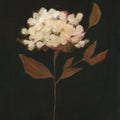 Fade Into Fall I Mural Wallpaper - pure wallpaper artwork