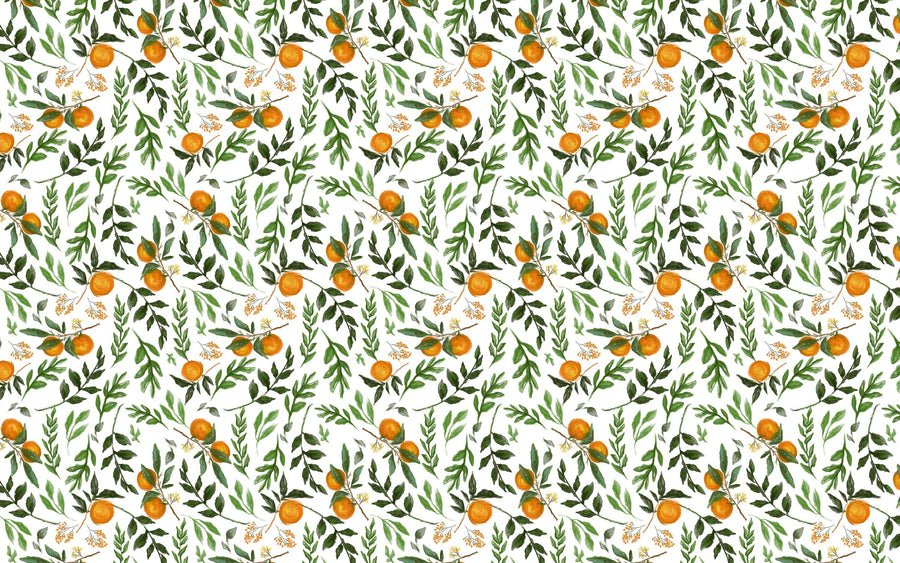 I See Oranges Mural Wallpaper
