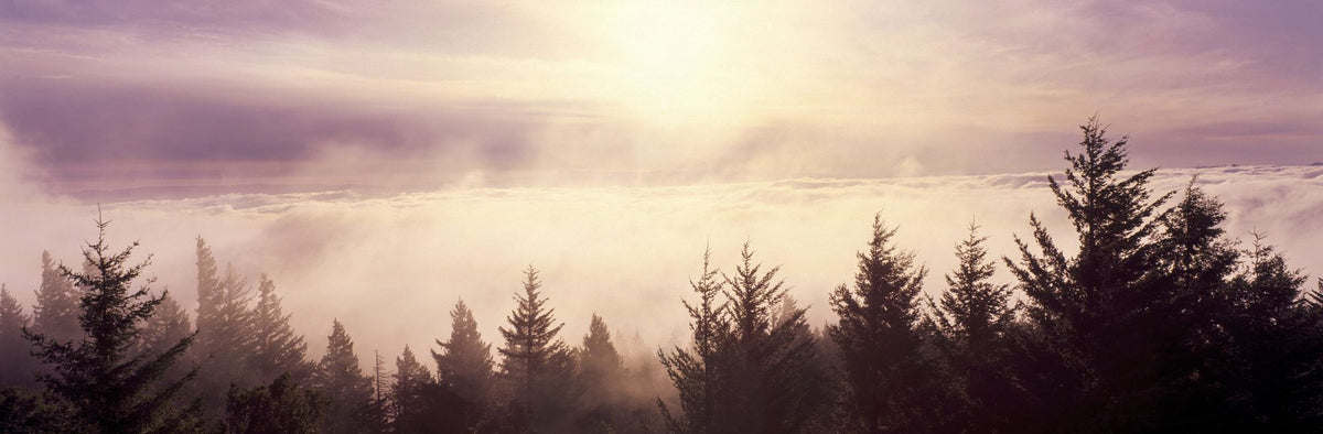 Cloud Nine Mural Wallpaper - pure wallpaper artwork