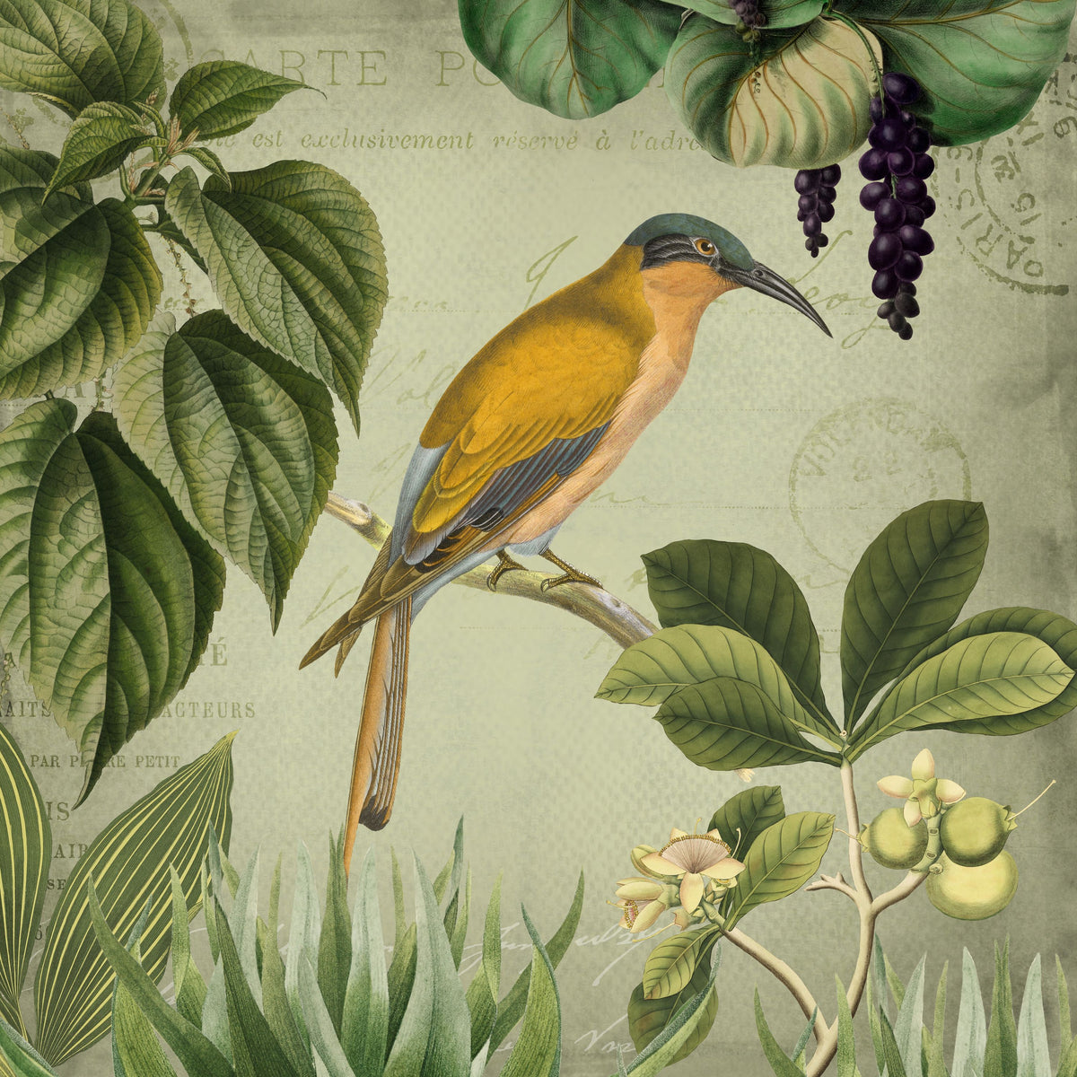 Vintage Birds II Mural Wallpaper - pure wallpaper artwork