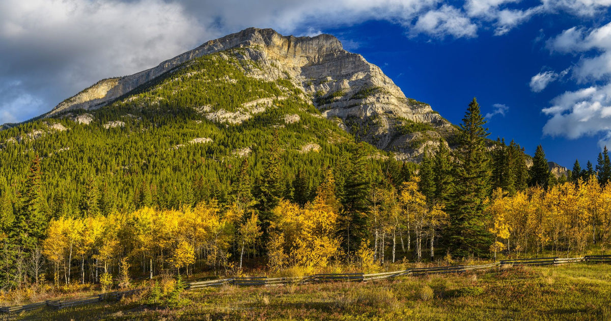 Grotto Mountain Mural Wallpaper - pure wallpaper artwork