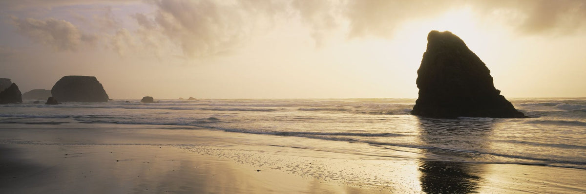 Golden Shore Silhouette Mural Wallpaper - pure wallpaper artwork