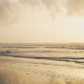 Golden Shore Silhouette Mural Wallpaper - pure wallpaper artwork