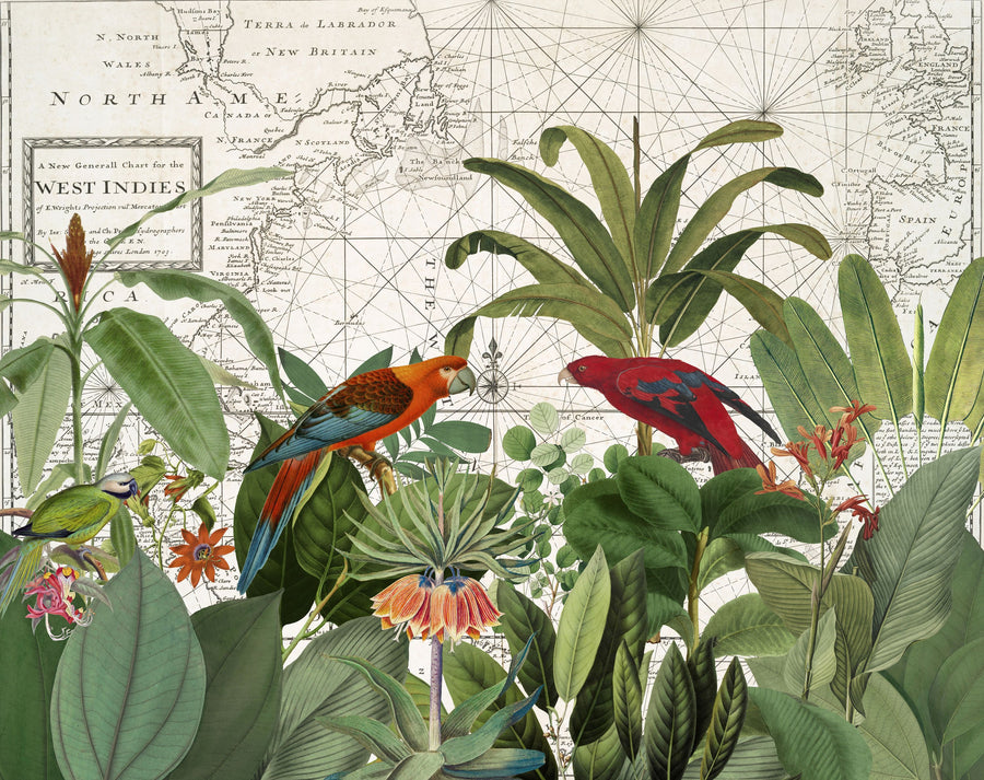 Exotic Wildlife VI Mural Wallpaper