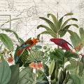 Exotic Wildlife VI Mural Wallpaper - pure wallpaper artwork