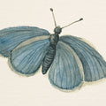 Honeybloom Butterfly I Mural Wallpaper - pure wallpaper artwork