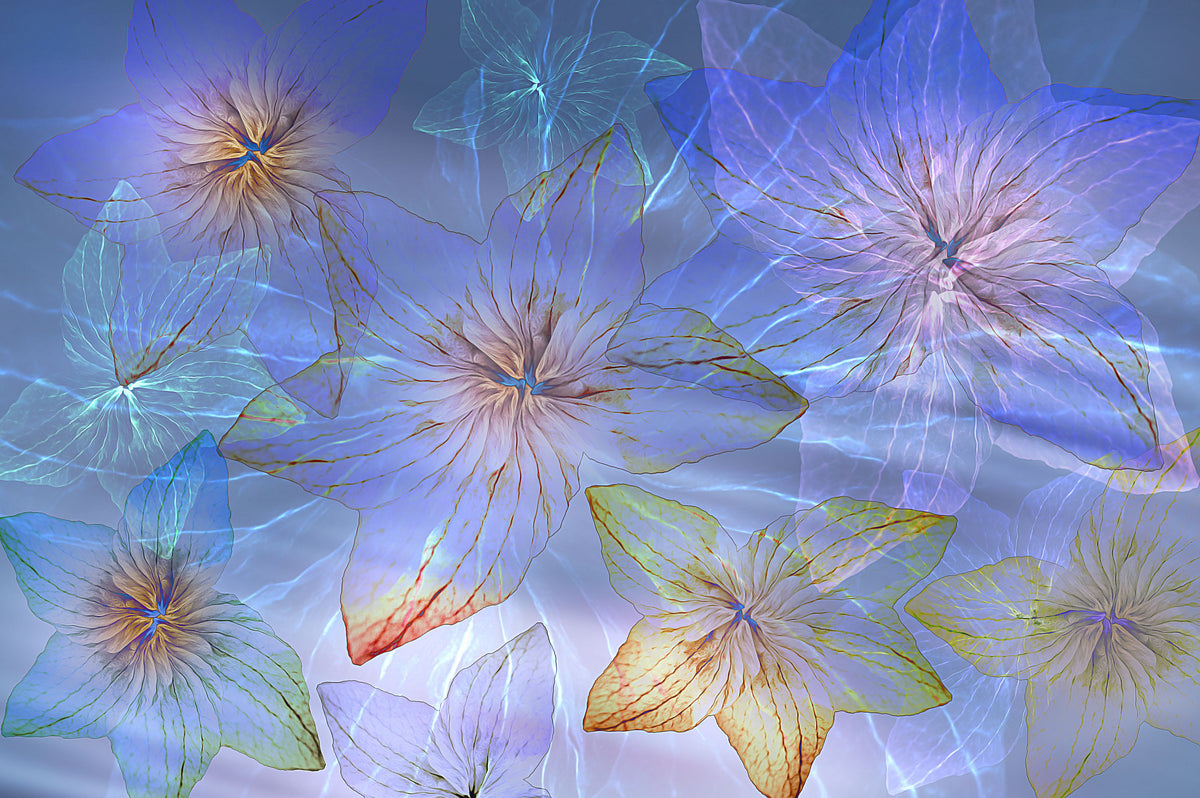 Blue Sea Blossoms Mural Wallpaper - pure wallpaper artwork