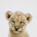 Peekaboo Baby Lion Mural Wallpaper - pure wallpaper artwork