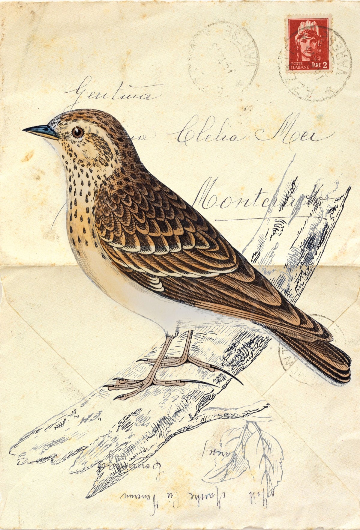 Wood Lark Mural Wallpaper - pure wallpaper artwork