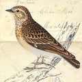 Wood Lark Mural Wallpaper - pure wallpaper artwork