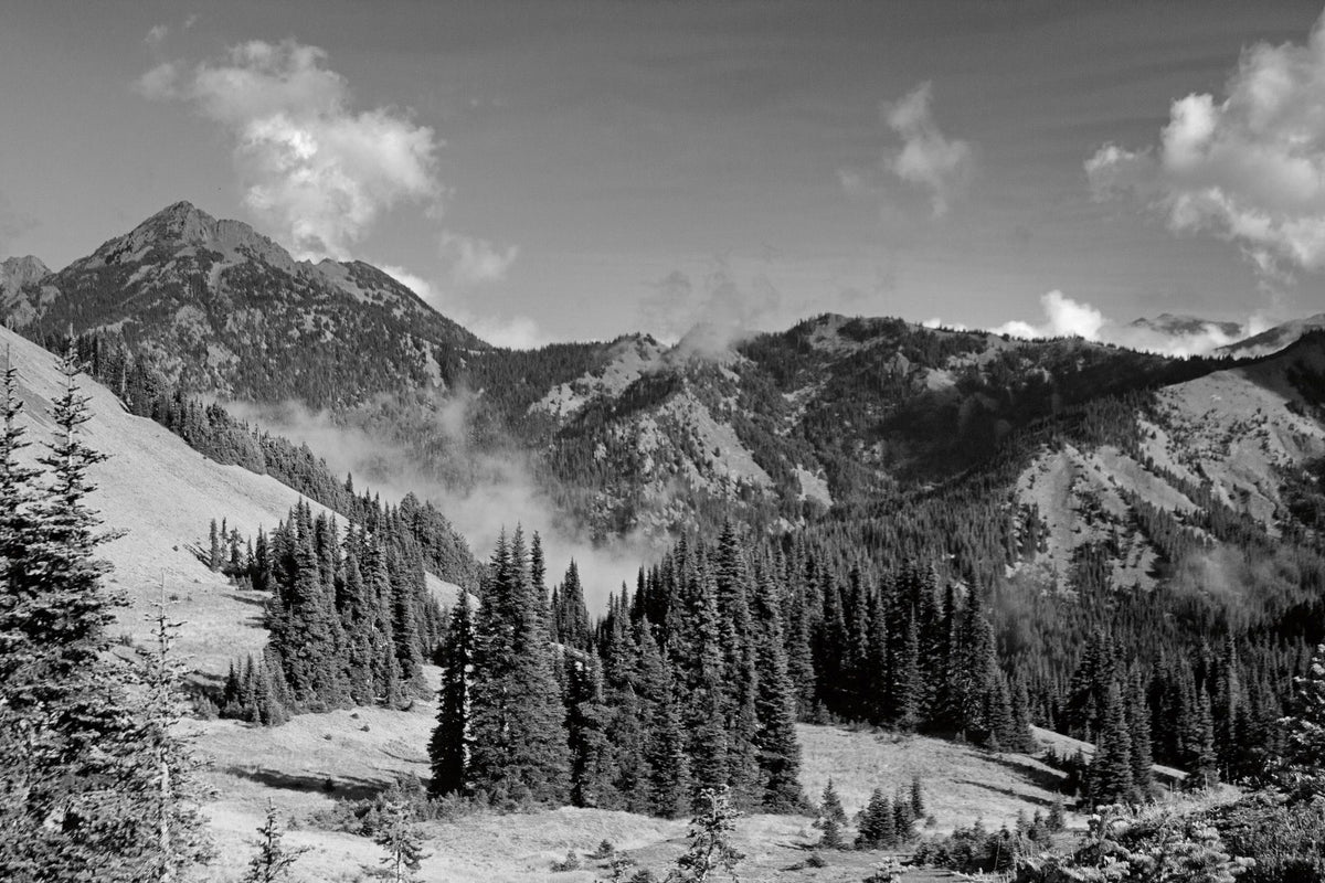 Olympic Mountains Mural Wallpaper - pure wallpaper artwork