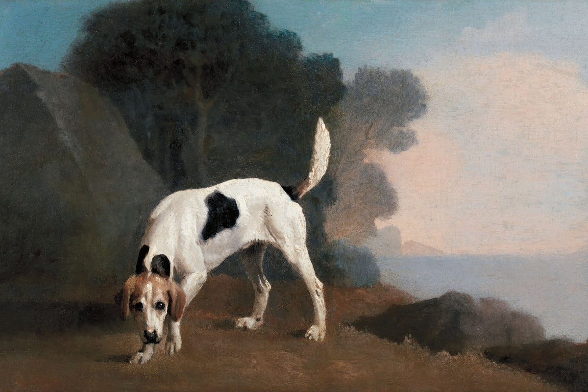 Foxhound Mural Wallpaper - pure wallpaper artwork