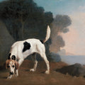 Foxhound Mural Wallpaper - pure wallpaper artwork