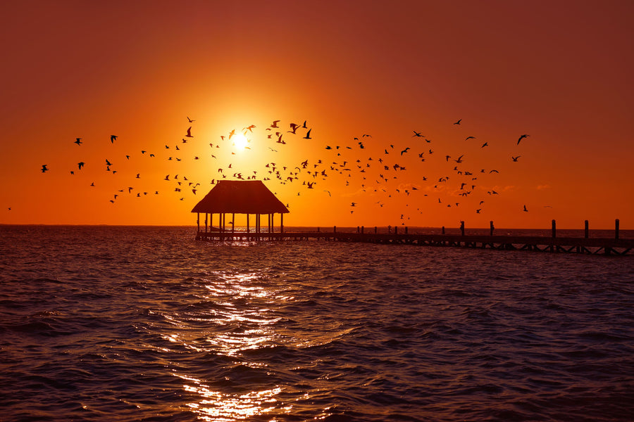 Sunset Harbor Pavilion Mural Wallpaper